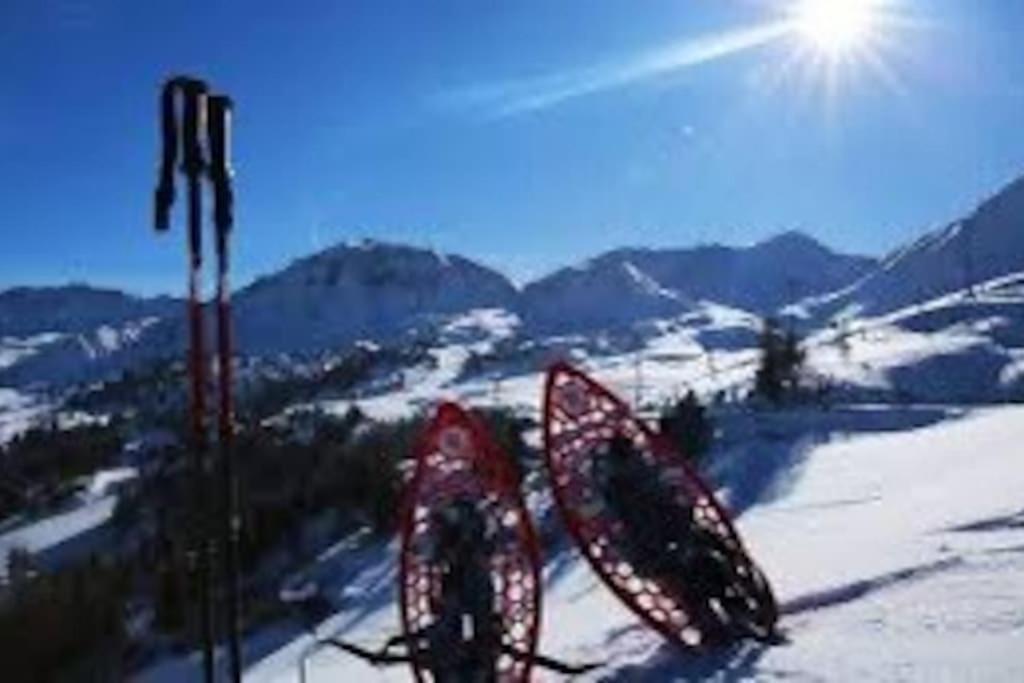 Appartement Belle Plagne Et Parking 拉普拉涅 外观 照片